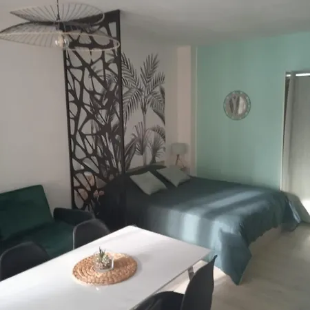 Plein Centre Face Au Lac, Cave Velo