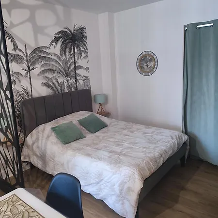 Plein Centre Face Au Lac, Cave Velo *