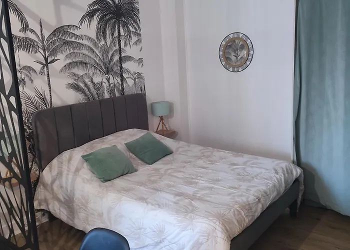 Plein Centre Face Au Lac, Cave Velo *